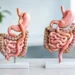 Duodenal Switch Versus Bypass: A Clear Comparison
